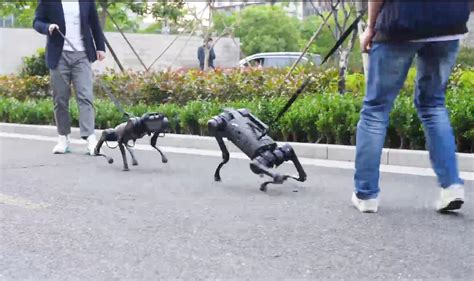 Meet Unitree A1: A China-made robot dog you can walk - CnTechPost