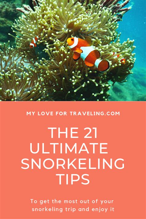 The ultimate snorkeling tips list | Snorkeling, Best snorkeling ...