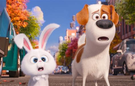 When Will 'The Secret Life of Pets' Be On Netflix? Here's What To Watch While You Wait