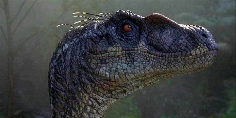 Why Jurassic Park 3's Raptors Are Completely Different