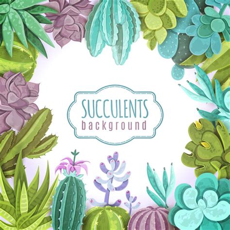 Free Vector | Succulents background illustration