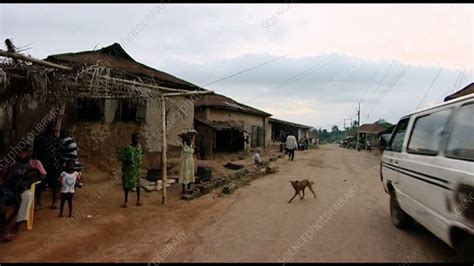 Village in Nigeria - Stock Video Clip - K008/8147 - Science Photo Library