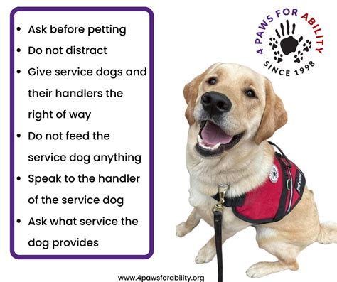 Service Dog Etiquette - 4 Paws for Ability