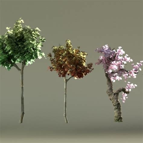 Realistic 3d trees for architecture • Blender 3D Architect