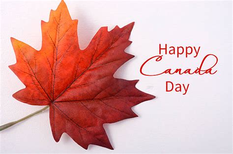 Royalty Free Canada Day Pictures, Images and Stock Photos - iStock