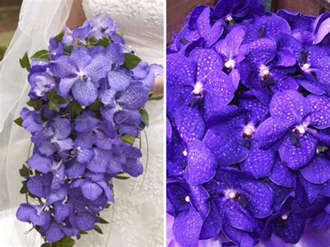 May Flowers: 20 Best Flowers in Season in May for Your Wedding ...