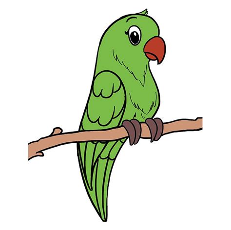 How to Draw a Parrot - Really Easy Drawing Tutorial | Parrot drawing, Parrot cartoon, Easy drawings