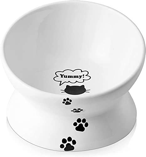 10 Best Water Bowls for Persian Cats - Cats Fountains