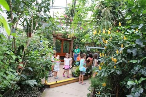 Magic Wings Butterfly Conservatory & Gardens | Explore Western Mass