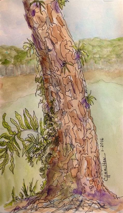 Tree bark | Painting, Drawings, Tree bark