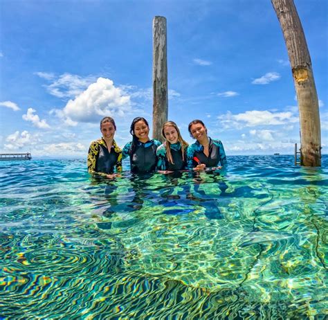 Great Barrier Reef Marine Conservation | Volunteer in Australia 2025