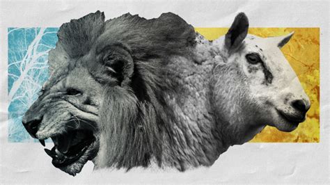 March weather proverb: In like a lion, out like a lamb (usually) | CNN