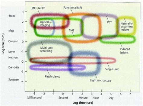 Obama Brain Initiative Spikes Activity Map Kavli | Robert Blum