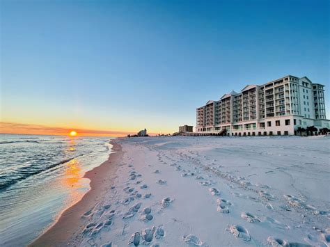 pet friendly hotels pensacola beach florida - Roseann Keener