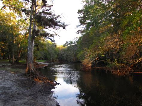 Florida kayaking trail: Withlacoochee River is one of the prettiest | Florida Rambler