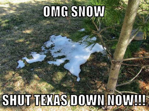 Hilarious 2023 Texas Winter Memes Including Ted Cruz - Lola Lambchops