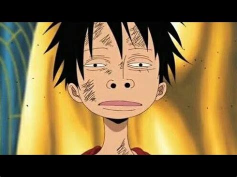 top 5 luffy dumb moments - YouTube