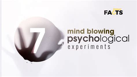 Fun Psychology Experiments To Try