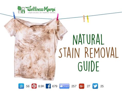 Natural Stain Removal Guide