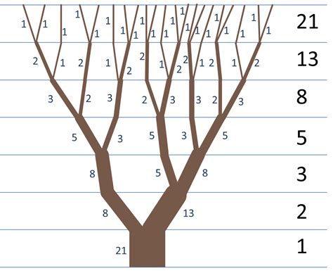 Fibonacci Tree | Fibonacci in nature, Fibonacci sequence art, Fibonacci ...