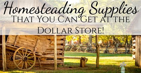 Homesteading Supplies You Can Get at the Dollar Store - Frugal Living