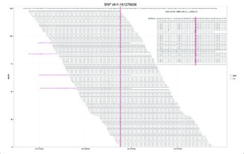 | Next-generation sequencing revealed a small number of reads in the... | Download Scientific ...