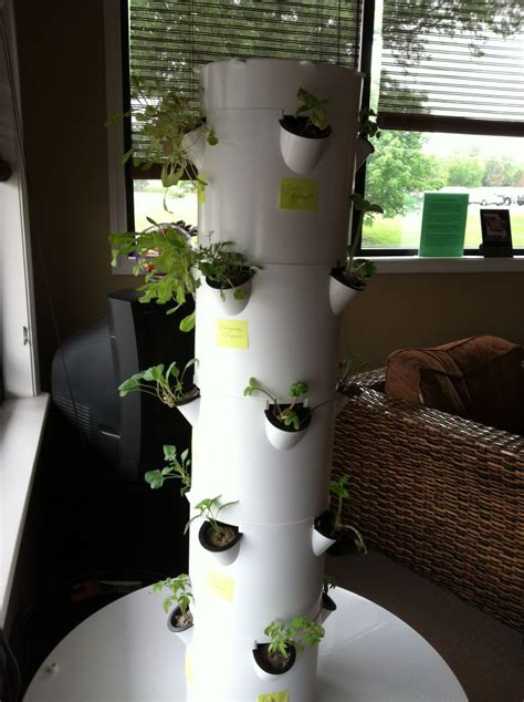 Beginning of the 4th wk for Tower Garden, Aeroponic growing www.kc ...