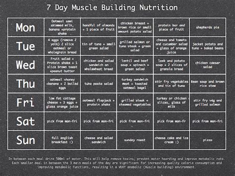 Eating Program For Building Muscle - Free Software and Shareware - planepiratebay