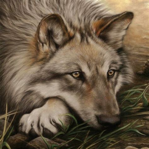 Beautiful wolf art | ART DIY | Pinterest