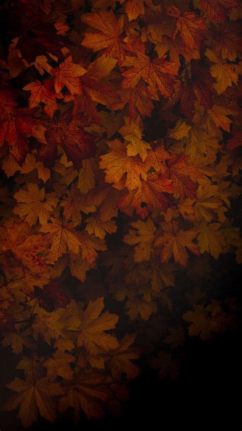 Dark Autumn Wallpapers - Top Free Dark Autumn Backgrounds - WallpaperAccess