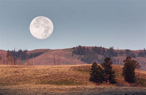 Moonset Free Stock Photo - Public Domain Pictures