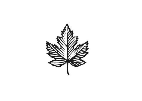 21 Chinar maple ideas in 2021 | canada tattoo, leaf art, maple leaf ...