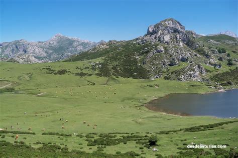 Lagos de Covadonga. Rutas Lagos de Covadonga Qué ver en Asturias | Qué ...