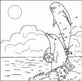 Dolphins Are Playing sketch template
