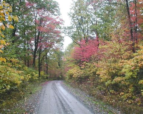 Western Pennsylvania Fall Foliage 2017: Expect Exceptionally Vibrant ...