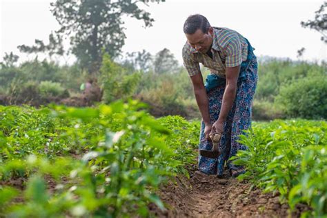 Can India’s farmers beat the slowdown in the agricultural sector? | IDR