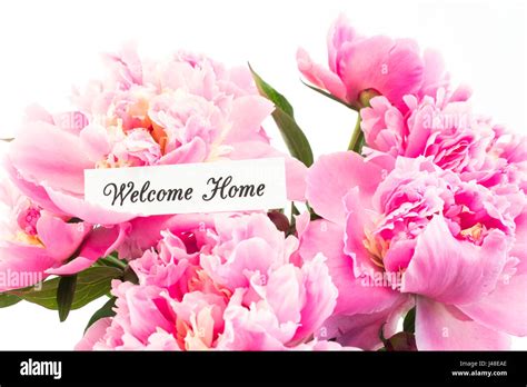 Welcome Home Card with Bouquet of Pink Peonies on White Background Stock Photo - Alamy