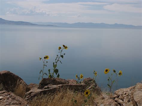 Antelope Island, Great Salt Lake | Antelope island, Natural landmarks, Lake