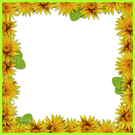 Sunflower border png, Sunflower border png Transparent FREE for download on WebStockReview 2024