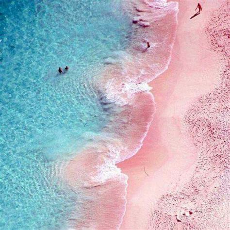 Pink Sands Beach, Harbour Island Bahamas | Pink sand beach, Pink beach ...