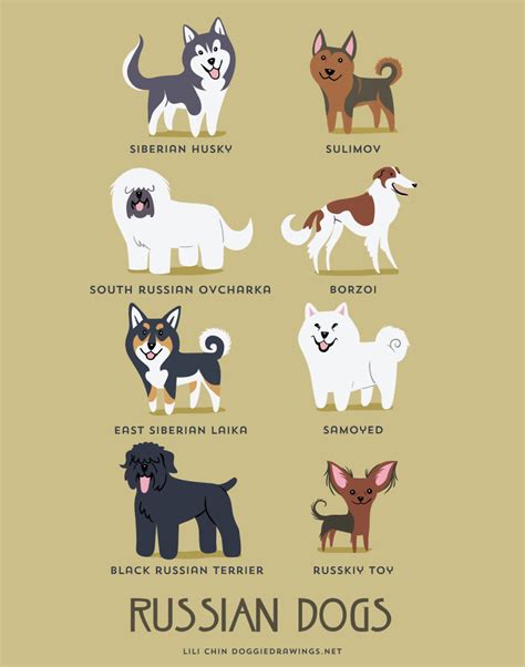 Dogs Of The World: Cute Posters Show The Origins Of 200+ Dog Breeds ...