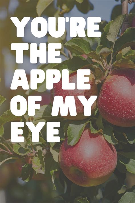 Apple Quotes (Plus Cute Sayings & Jokes)