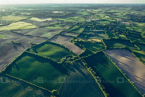 OverflightStock | Early Morning Corn Agriculture Germany Aerial Stock Photo