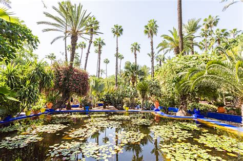 Visiter le Jardin Majorelle à Marrakech - Wild Birds Collective