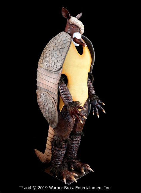 Holiday Armadillo from Friends Props Up for Auction in 2019 | E! News