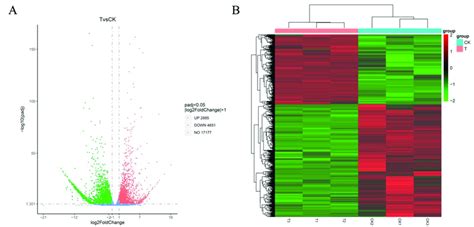 Volcano plot (A) showing gene expression levels determined using ...