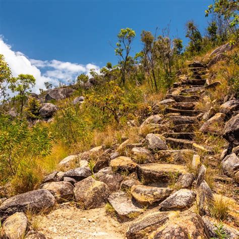 Fitzroy Island Walks - Things to do VisitFitzroyIsland.com.au