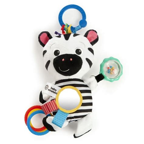 Baby Einstein Toys