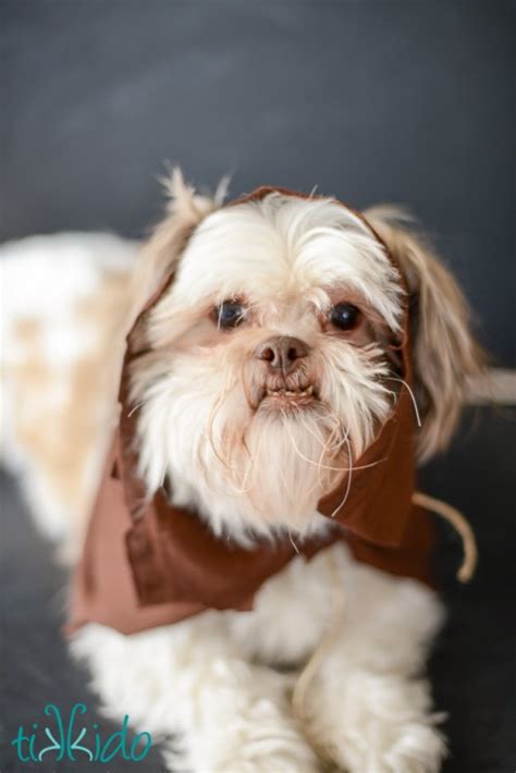 Fun DIY Ewok No Sew Dog Costume - Shelterness