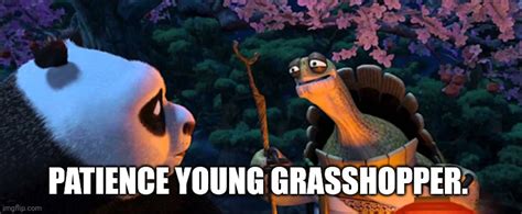 Kung Fu Panda Quote, Patience Young Grasshopper. Meme . - Kung Fu Panda Photo (44216637) - Fanpop